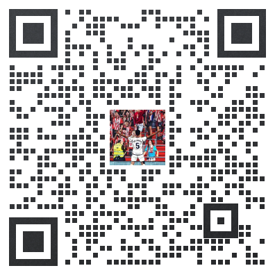 巴西记者金球奖投票顺序:维尼修斯第1,罗德里第2贝林第3